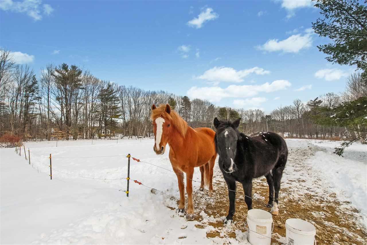 24 John Tasker Road Barnstead, NH 03218 - Photo 8 of 39