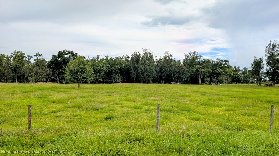 2162 Fish Branch Road Zolfo Springs, FL 33890 - Photo 2 of 27 Gallery Image 2