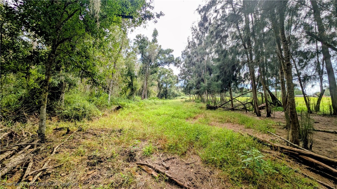 2162 Fish Branch Road Zolfo Springs, FL 33890 - Photo 22 of 27 Gallery Image 22