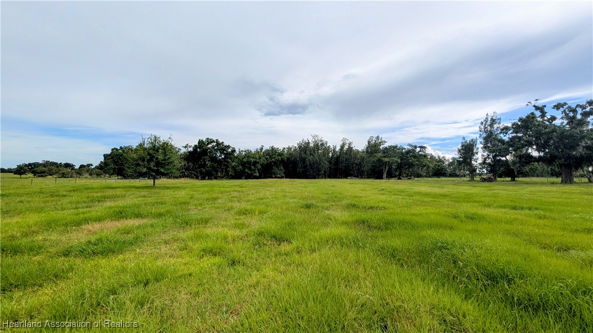 2162 Fish Branch Road Zolfo Springs, FL 33890 - Photo 25 of 27 Gallery Image 25