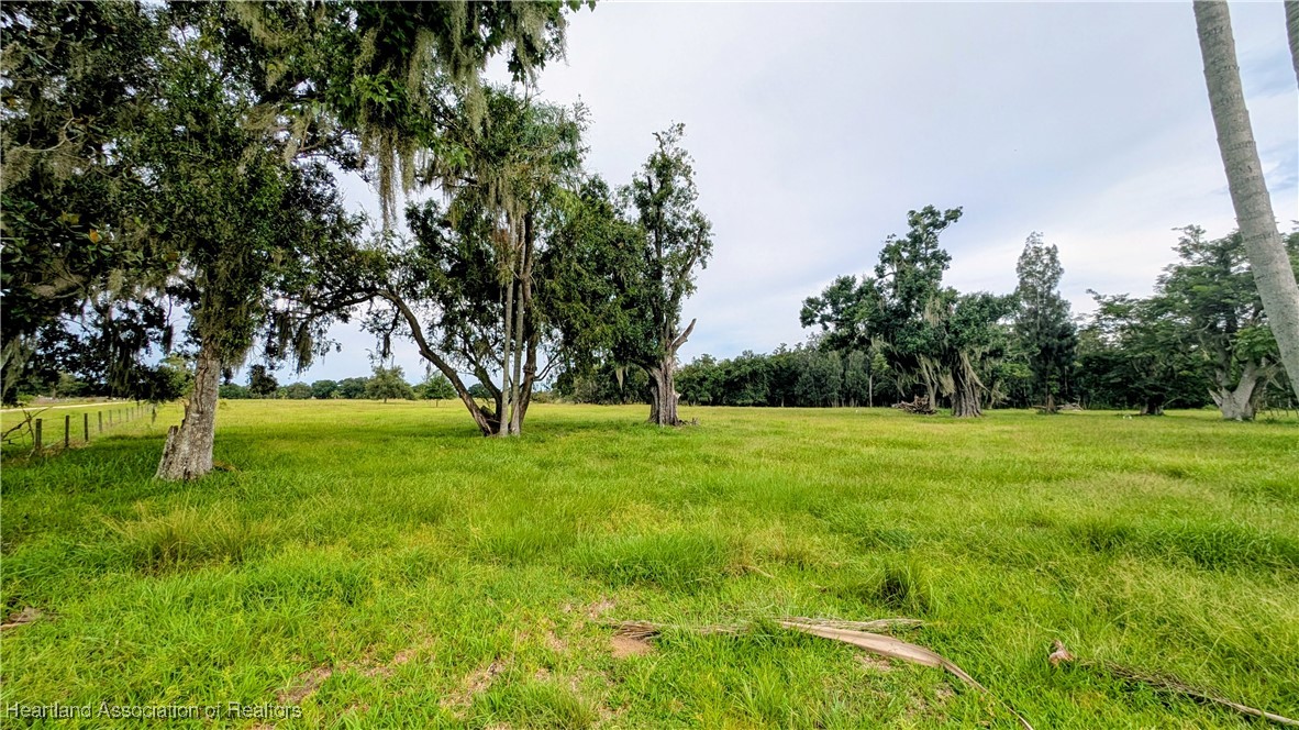 2162 Fish Branch Road Zolfo Springs, FL 33890 - Photo 5 of 27 Gallery Image 5