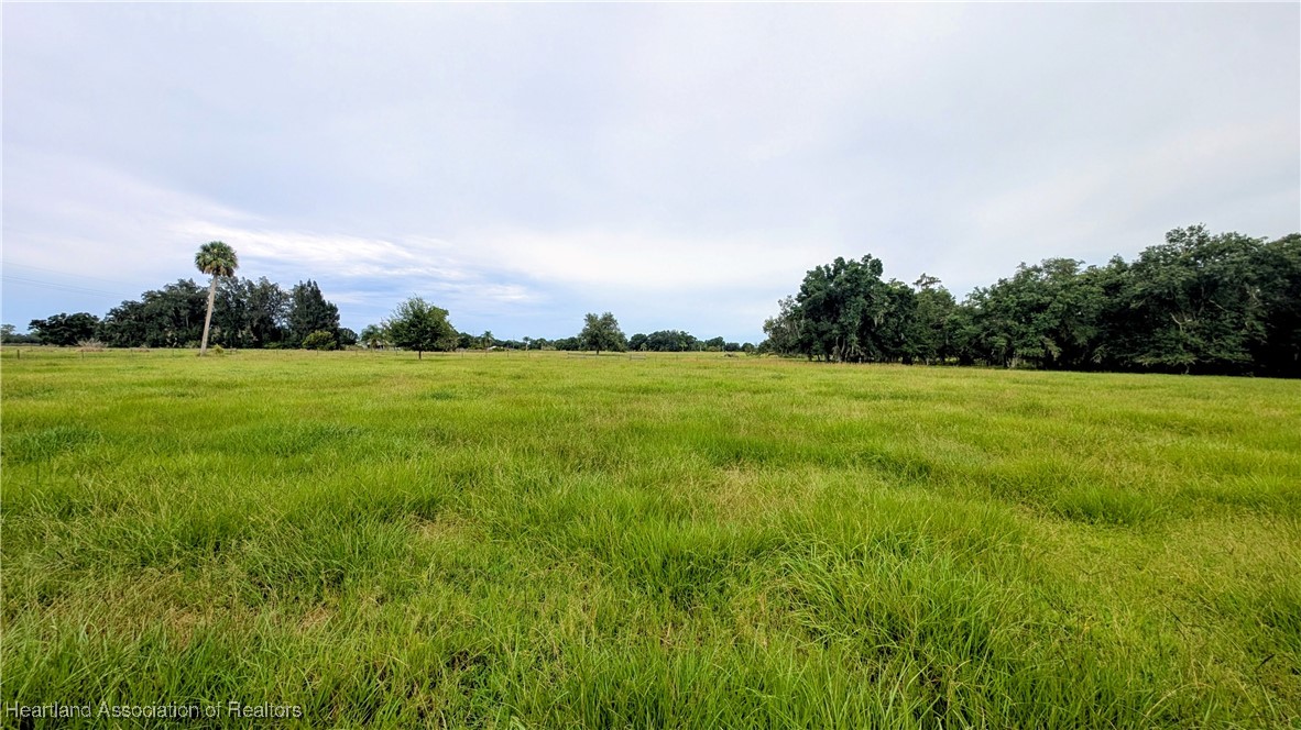 2162 Fish Branch Road Zolfo Springs, FL 33890 - Photo 7 of 27 Gallery Image 7
