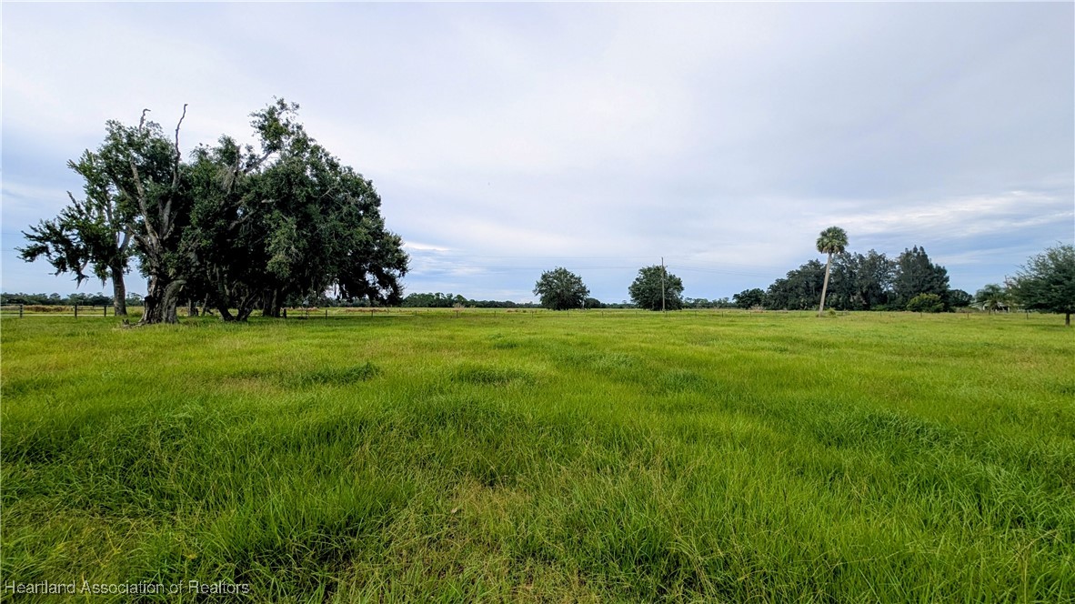 2162 Fish Branch Road Zolfo Springs, FL 33890 - Photo 9 of 27 Gallery Image 9