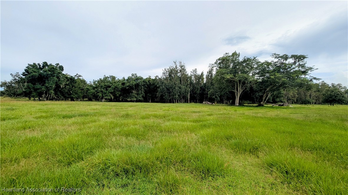 2162 Fish Branch Road Zolfo Springs, FL 33890 - Photo 10 of 27 Gallery Image 10