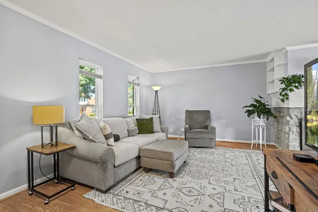 a living room with furniture and a potted plant