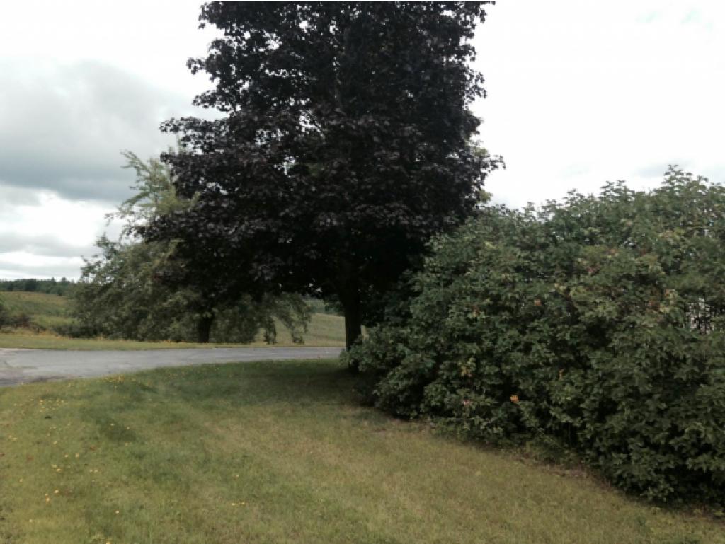 202 Kinsey Road Barton, VT 05822 - Photo 2 of 18