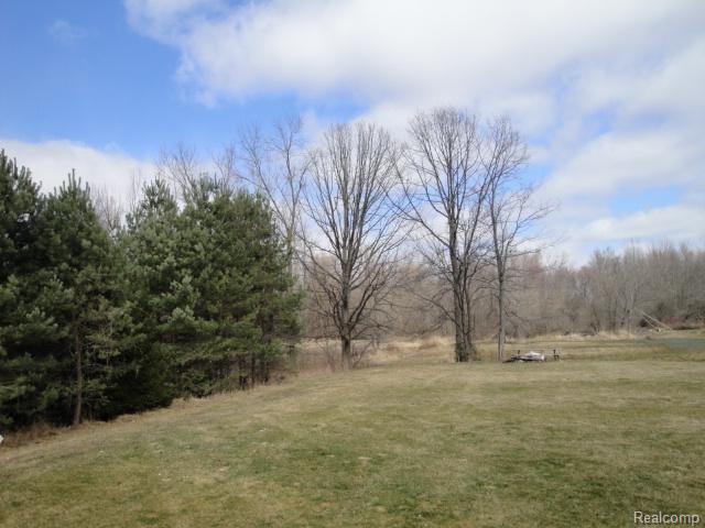 8335 Hough Road Almont, MI 48003 - Photo 12 of 12 Hough #12 yard