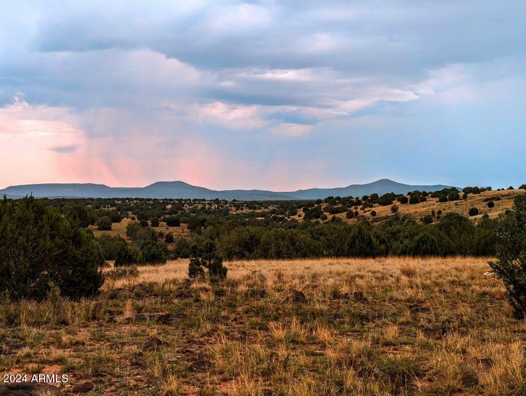 1111 Mile High Road Ash Fork, AZ 86320 - Photo 14 of 21 Photo 18