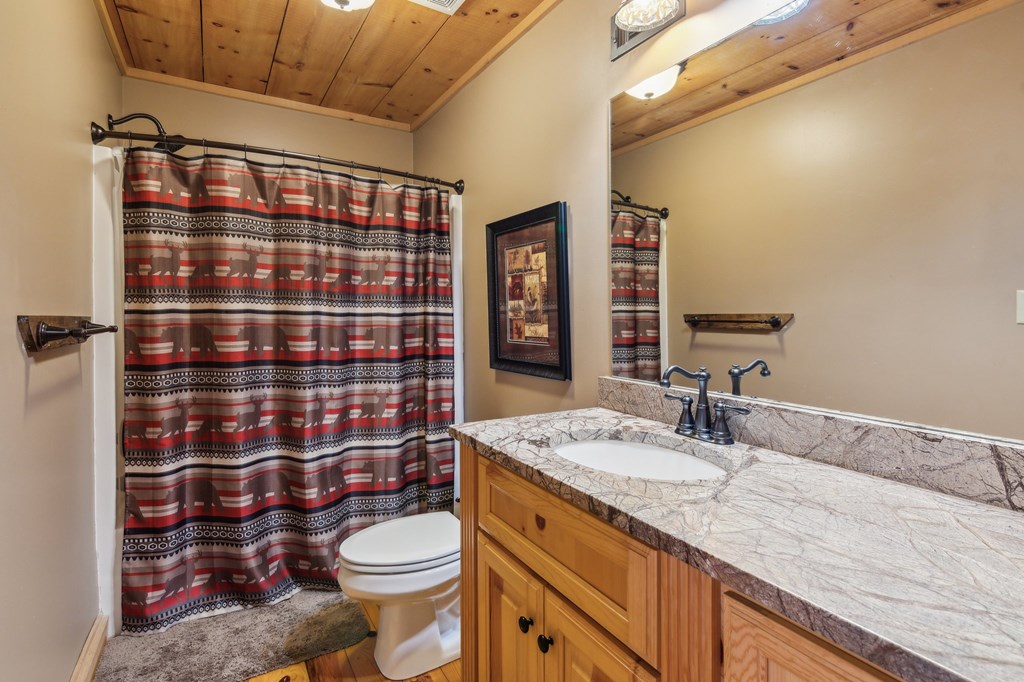 124 River Shoals Road Ellijay, GA 30536 - Photo 39 of 57 a bathroom with a sink a toilet and shower curtain