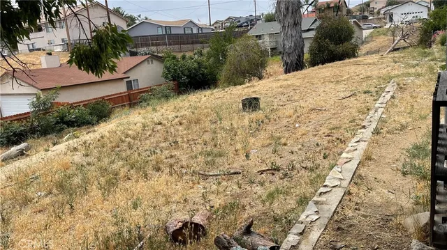 a view of a dry yard with trees