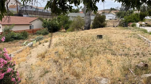 a view of backyard with couches and potted plants