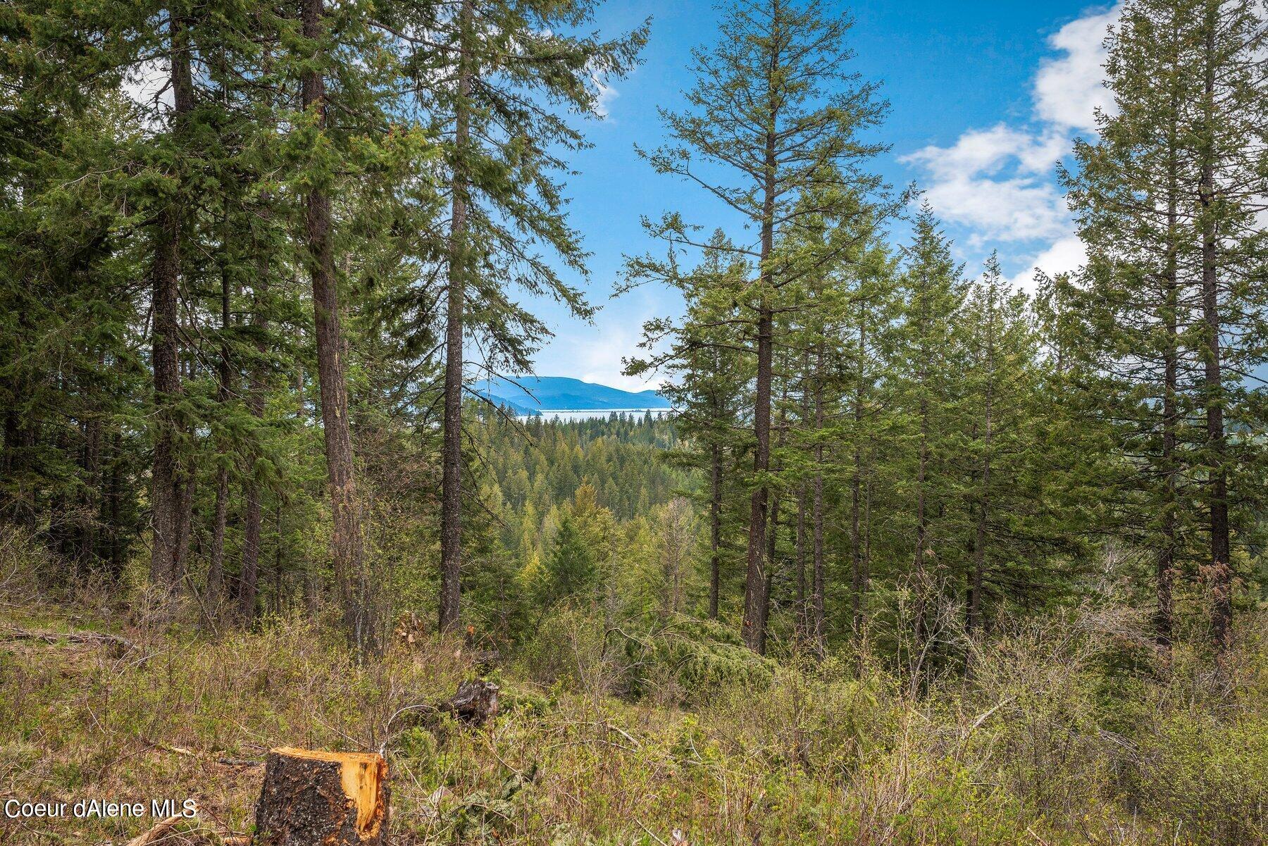 C21 Trapper's Loop Sandpoint, ID 83864 - Photo 1 of 1 --8.jpg-SMALL