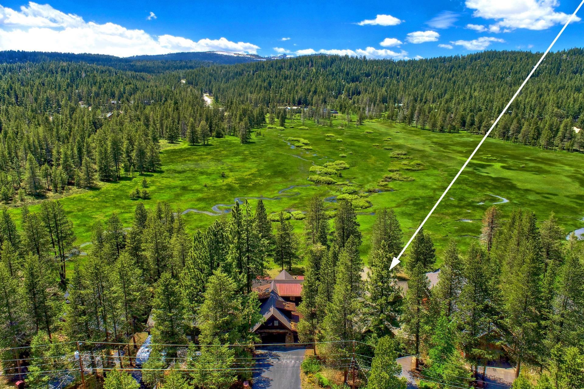 11368 Bennett Flat Road Truckee, CA 96161 - Photo 17 of 21 a view of a field with plants
