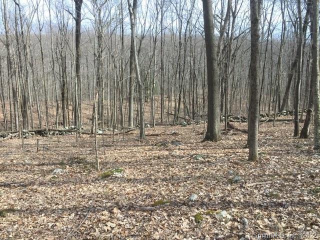 516 Carrington Road Bethany, CT 06524 - Photo 1 of 1
