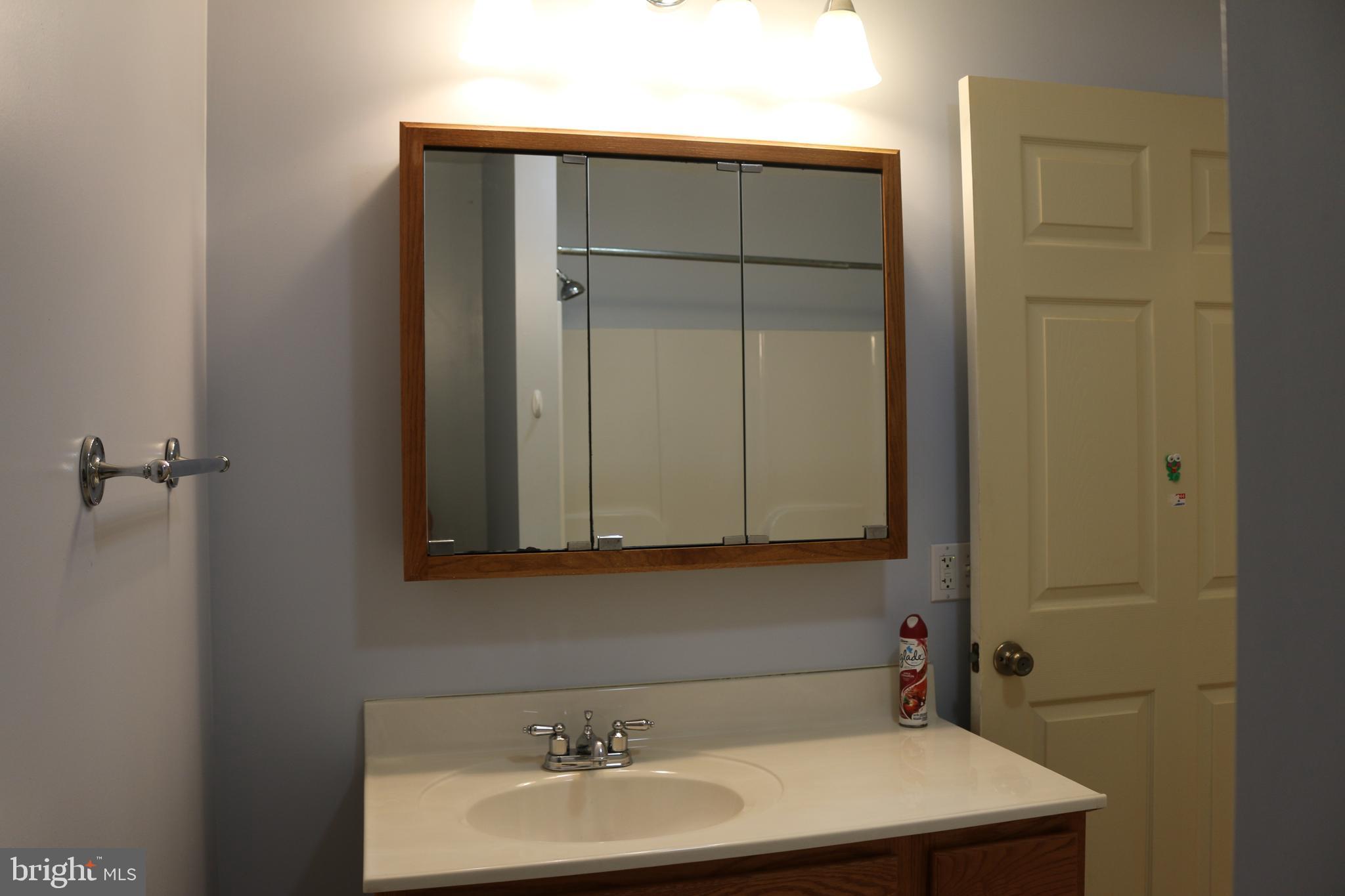 156 Squirrel Den Road Maysville, WV 26833 - Photo 22 of 41 a bathroom with a sink a vanity and a mirror