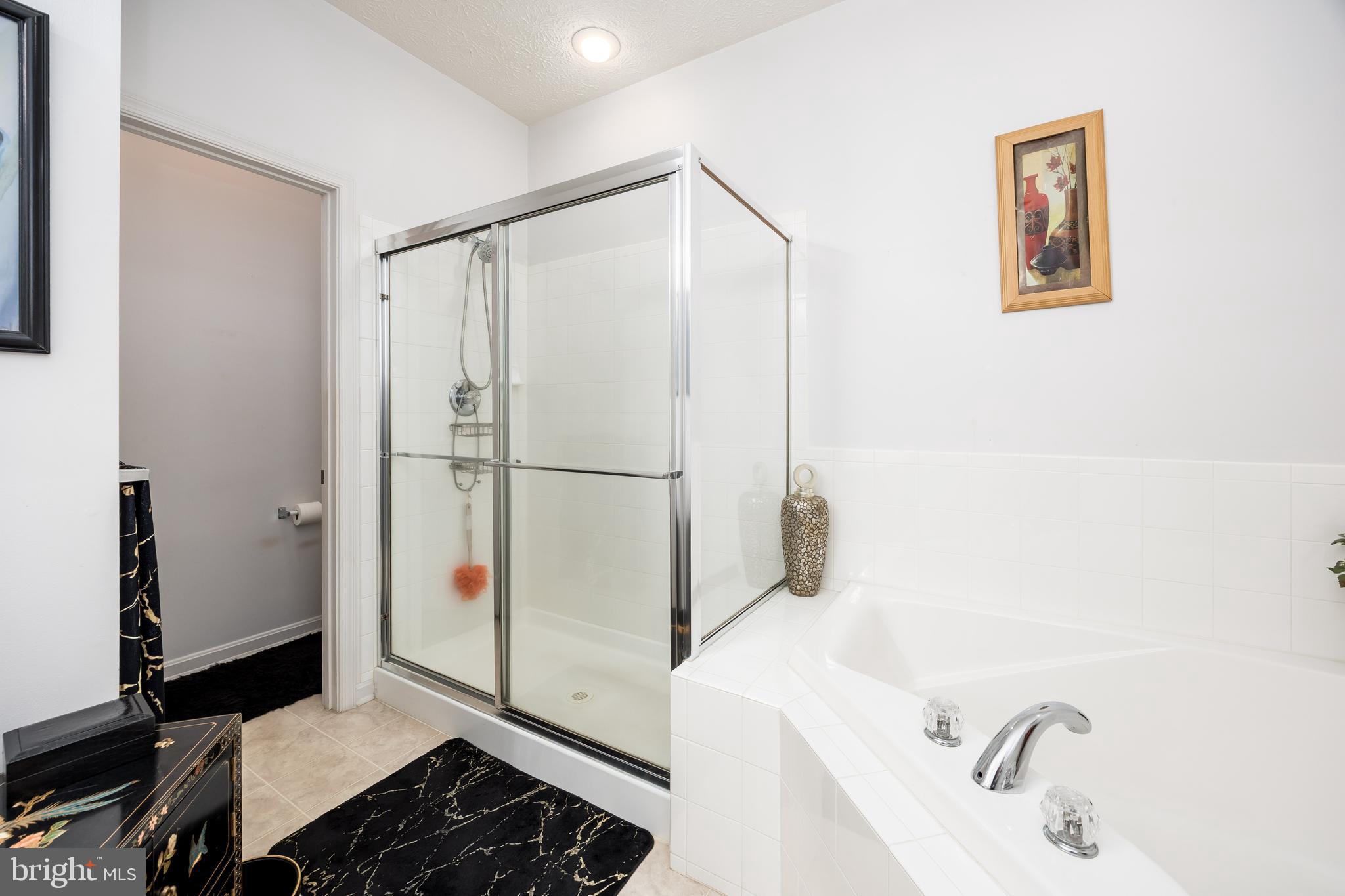 9529 Wedge Way Delmar, MD 21875 - Photo 19 of 39 a bathroom with a sink and a shower