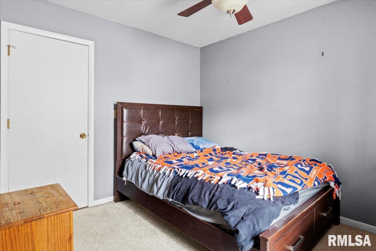 2533 Selkirk Road Springfield, IL 62702 - Photo 23 of 43