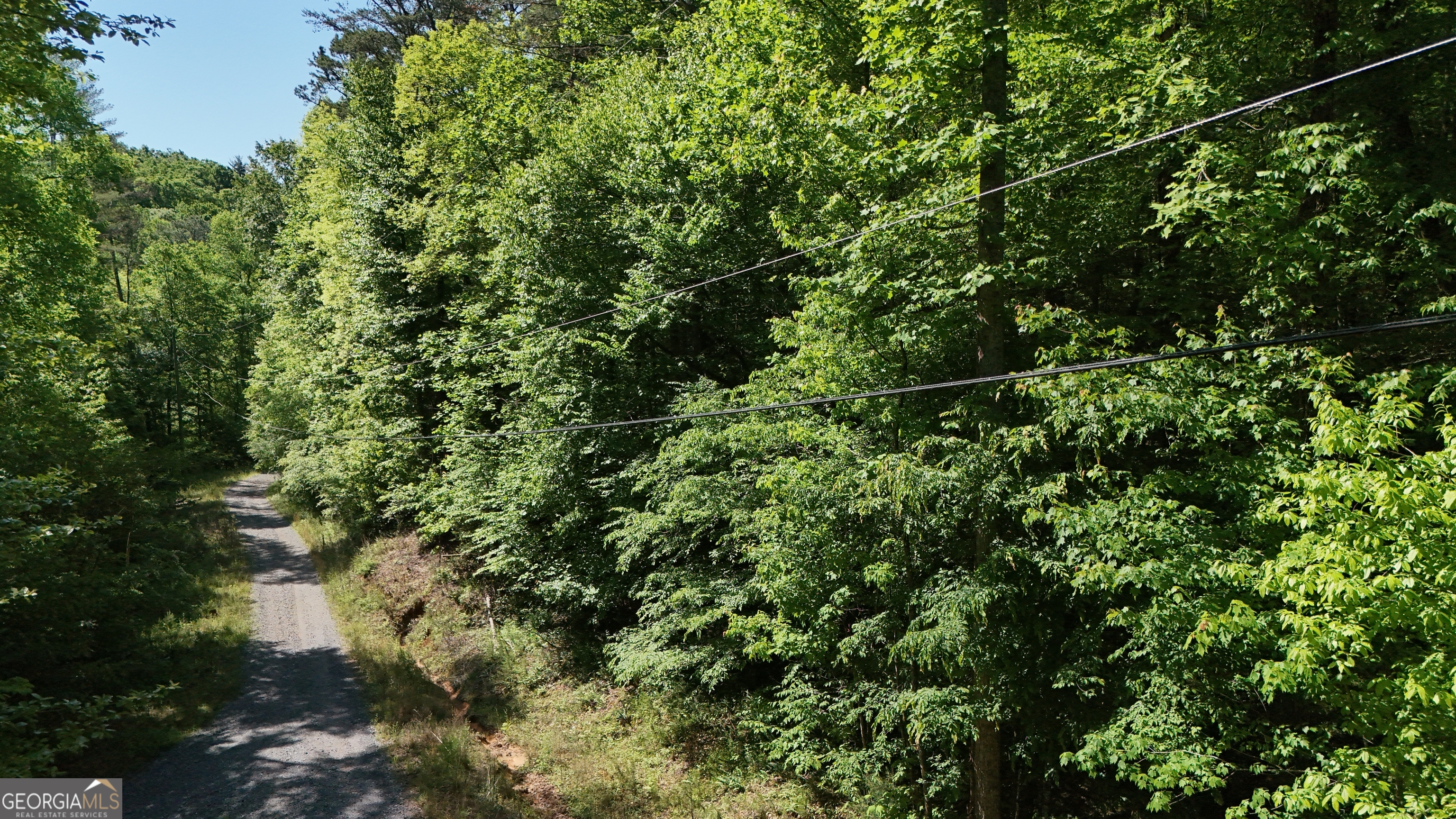 0 Gold Springs Road Ellijay, GA 30540 - Photo 4 of 13