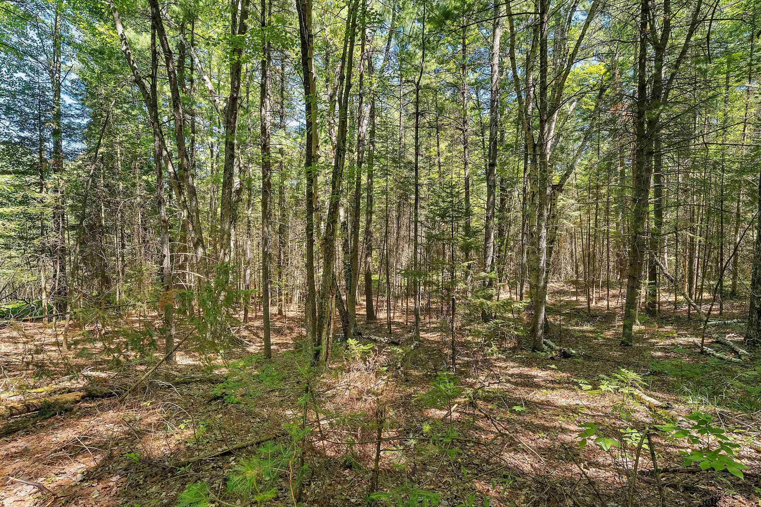 N8775 Boat Landing Road Wausaukee, WI 54177 - Photo 15 of 63