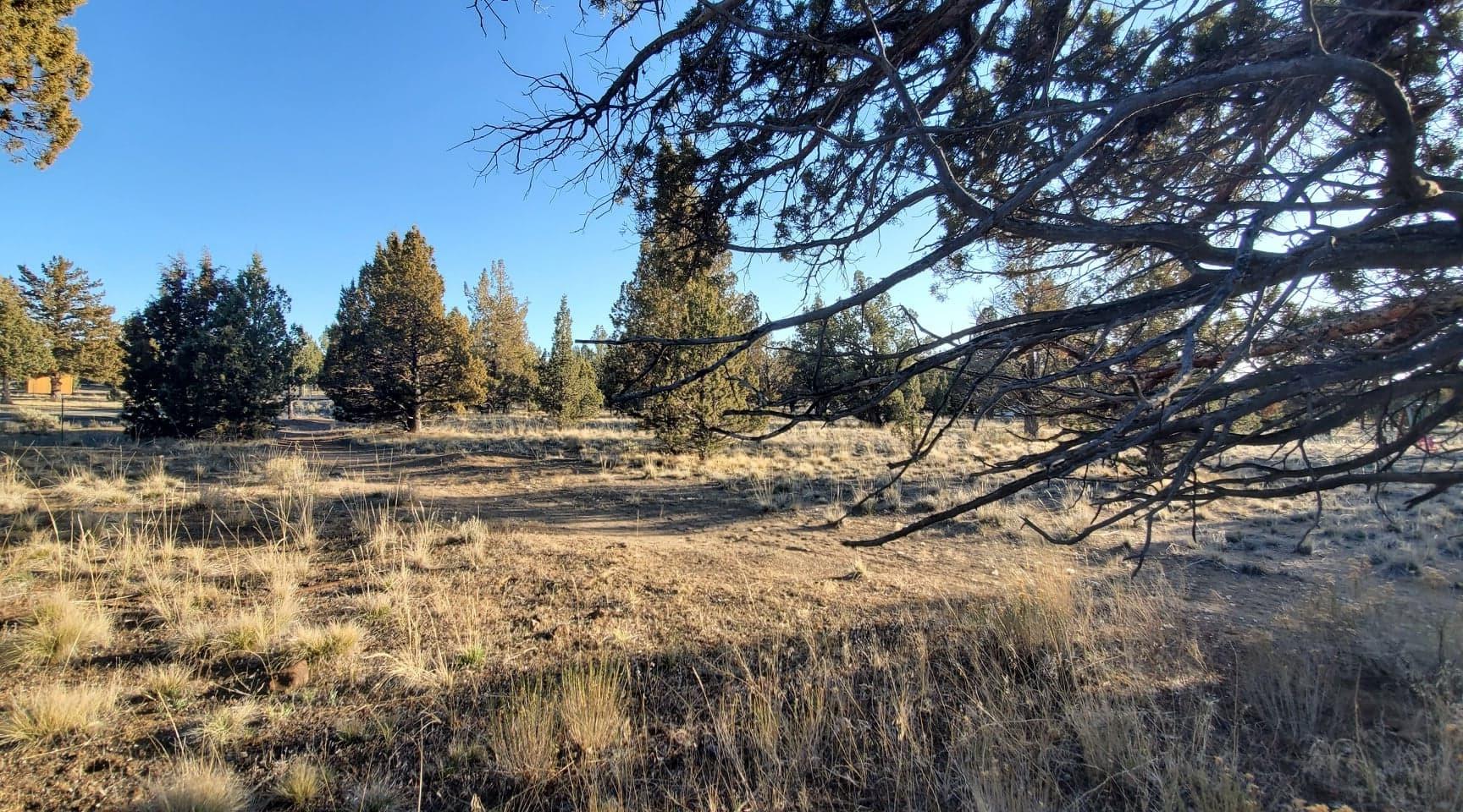 Southeast Huron Road Prineville, OR 97754 - Photo 10 of 25 9
