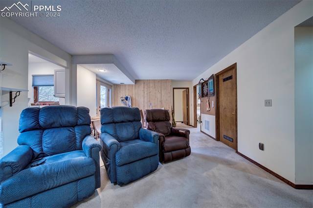 18255 Stoneview Road Monument, CO 80132 - Photo 25 of 42 Downstairs living room / family room
