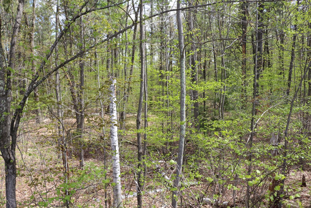 Lot 20 Ludlow Road Windham, NH 03087 - Photo 2 of 10 Gallery Image 2
