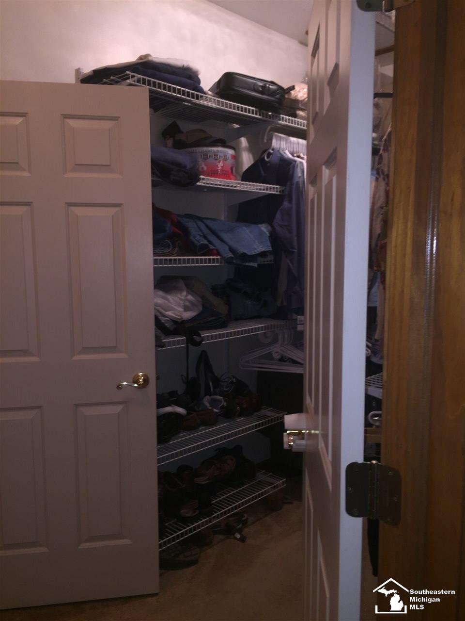 5403 Wells Road Petersburg, MI 49270 - Photo 28 of 44 Large closet