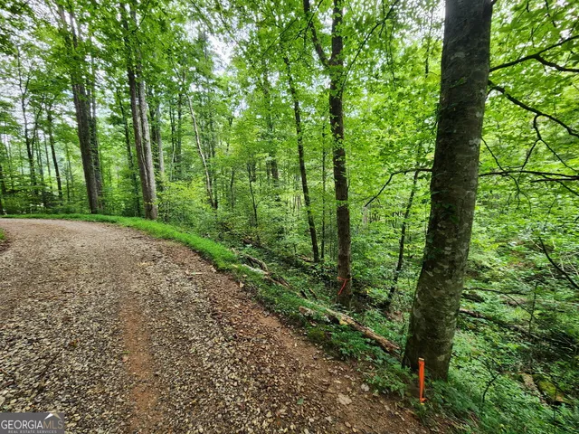 $64,900 | 2 B Poplar Cove Trail, Suches, GA 30572