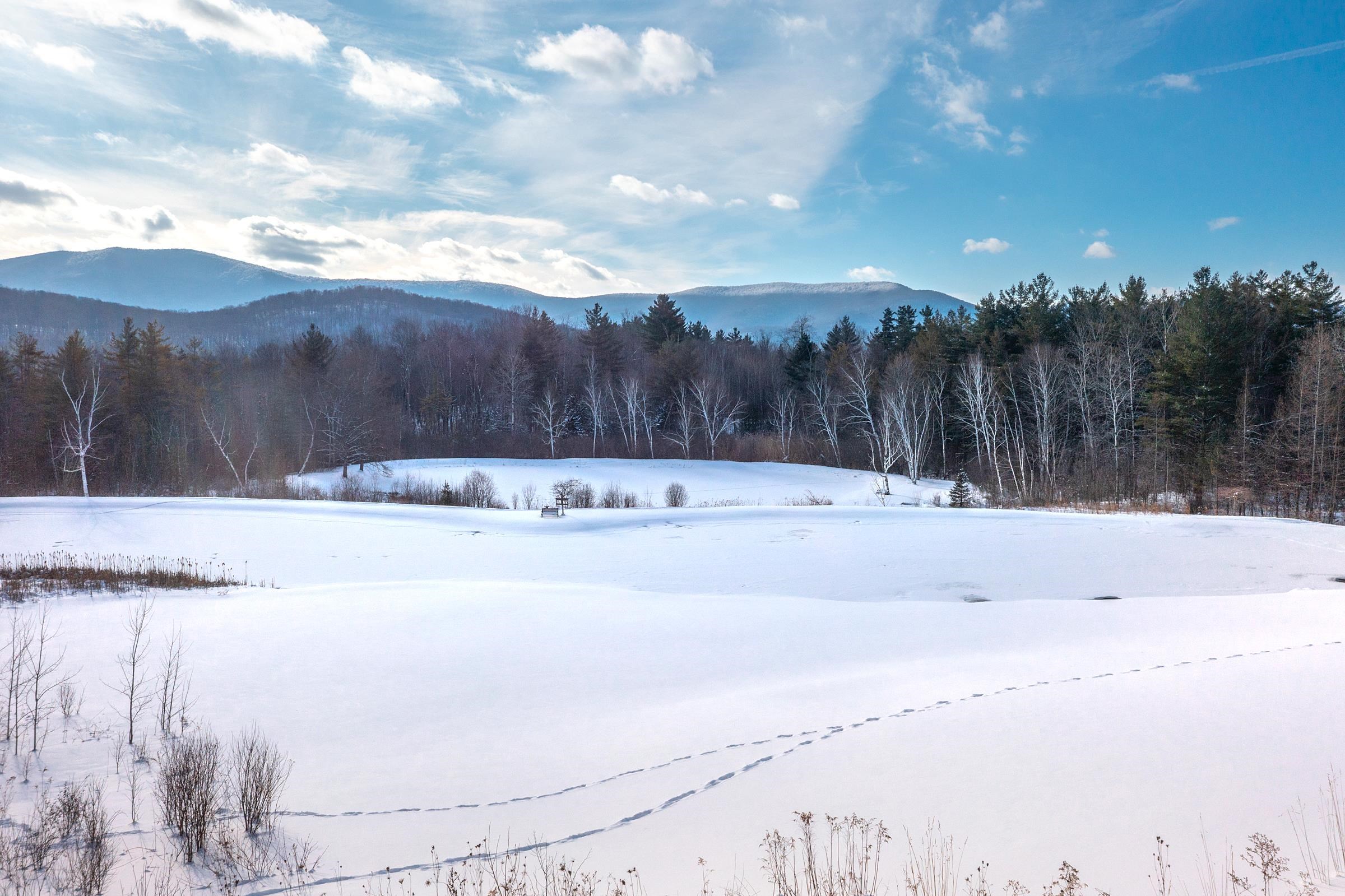 1060 Upper Hollow Road Dorset, VT 05251 - Photo 56 of 60