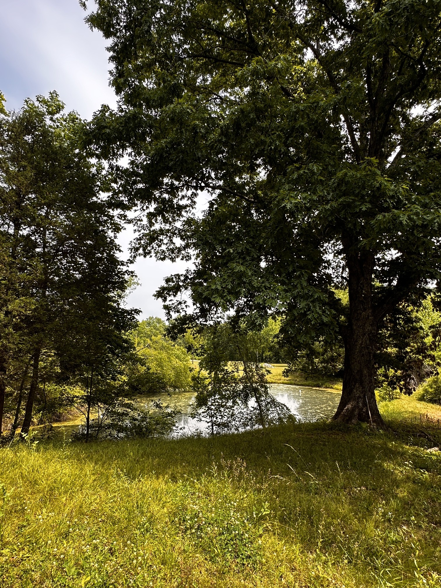119 Rodger Carroll Road Hohenwald, TN 38462 - Photo 8 of 14