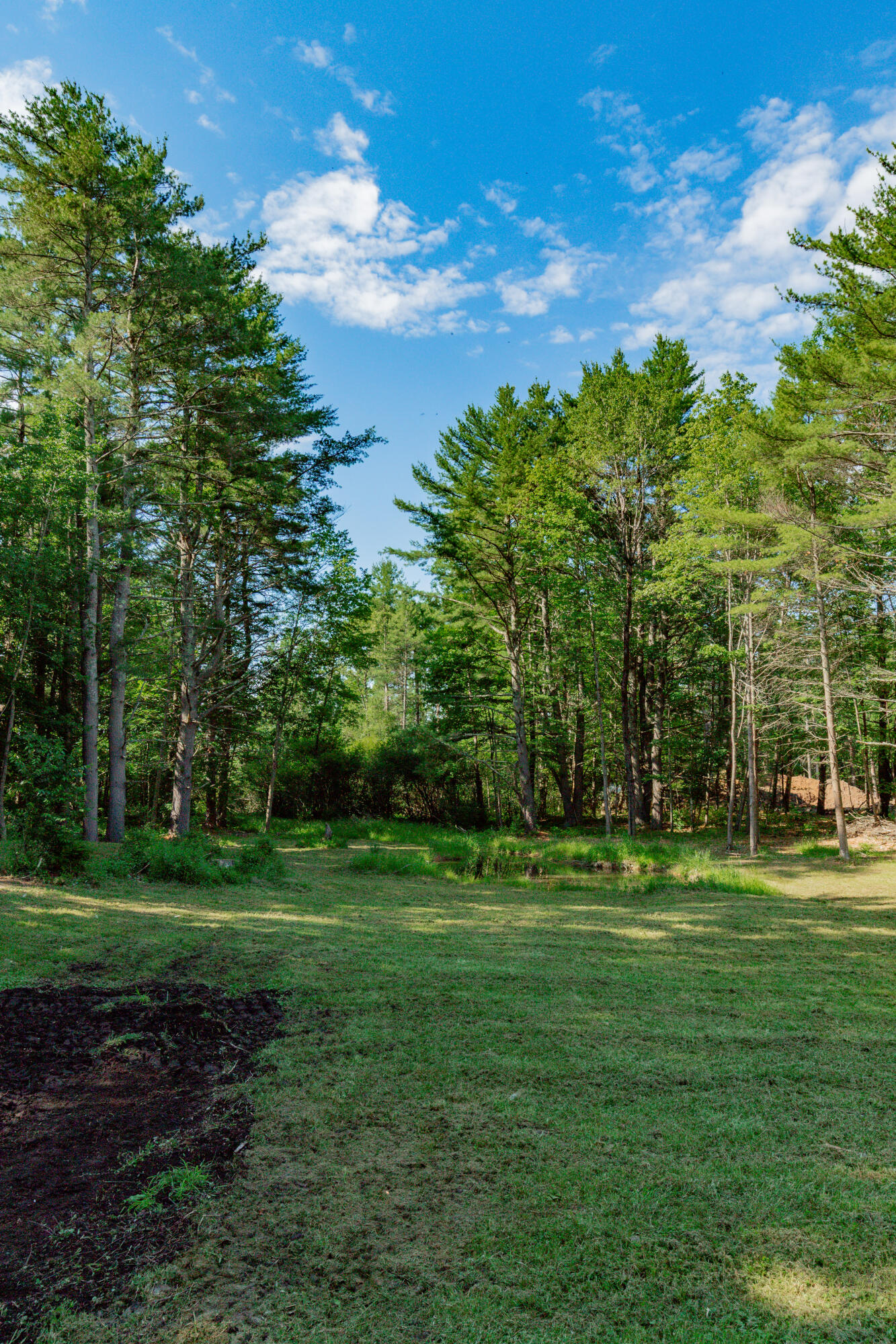 191 New Portland Road Gorham, ME 04038 - Photo 89 of 98 IMG_3575