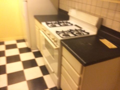 875 Tree Lane, Unit 204 Prospect Heights, IL 60070 - Photo 3 of 6 a kitchen with a stove a sink and a refrigerator