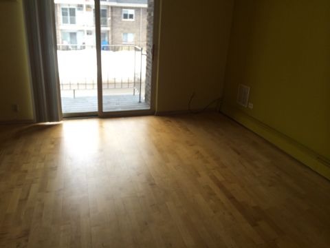 875 Tree Lane, Unit 204 Prospect Heights, IL 60070 - Photo 4 of 6 an empty room with wooden floor and windows