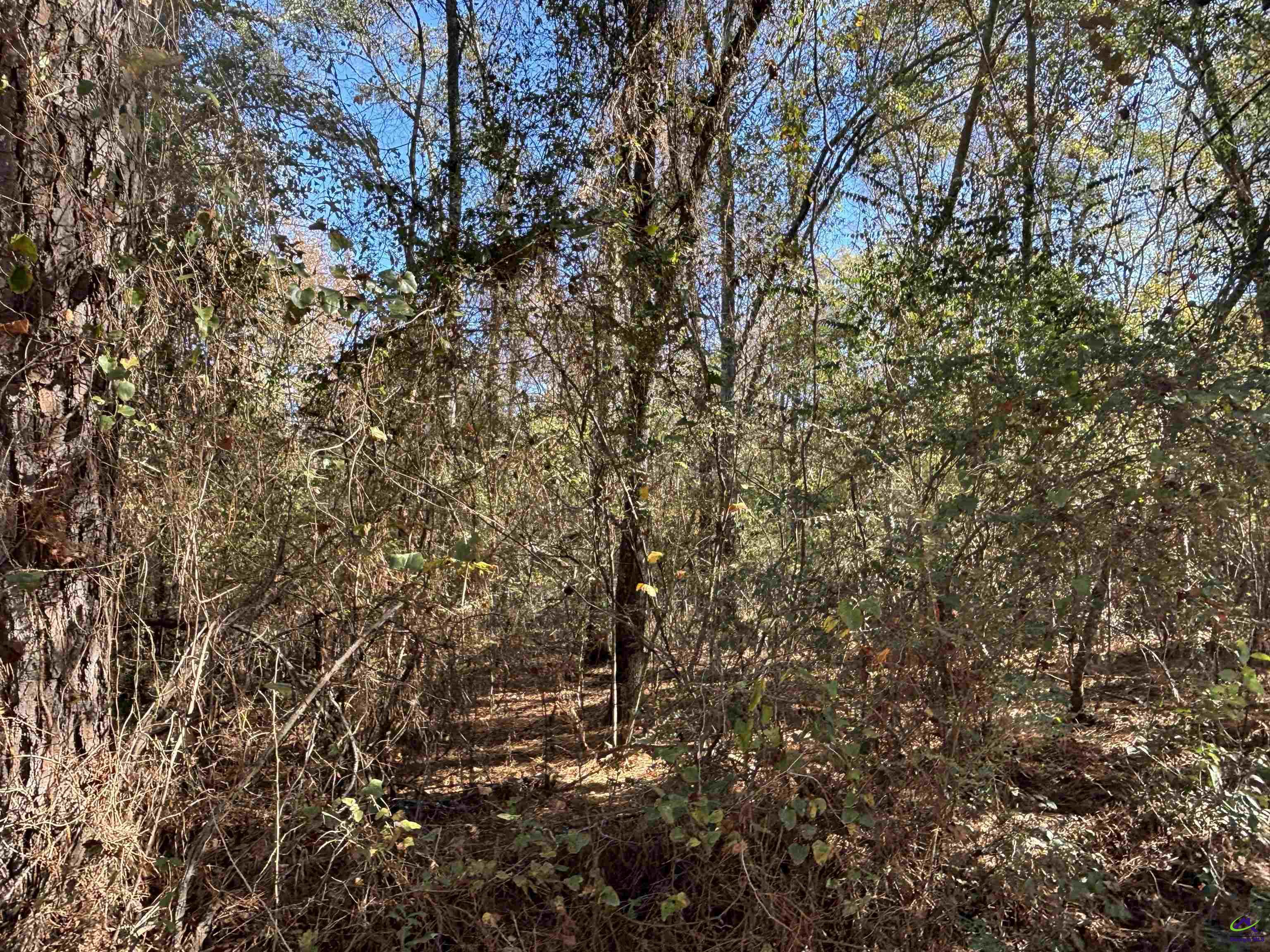 Julian Simpson Road Cochran, GA 31014 - Photo 3 of 3