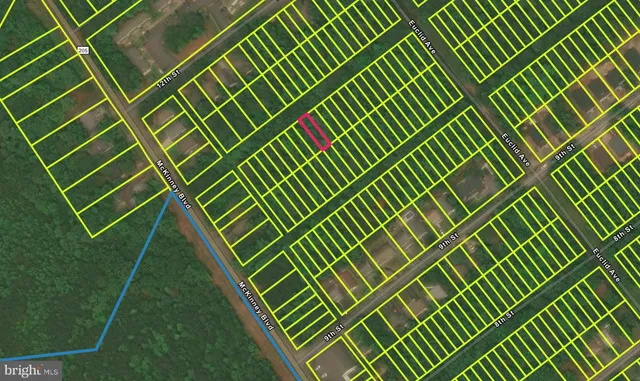 $14,000 | Lot 41 11th Street, Colonial Beach, VA 22443