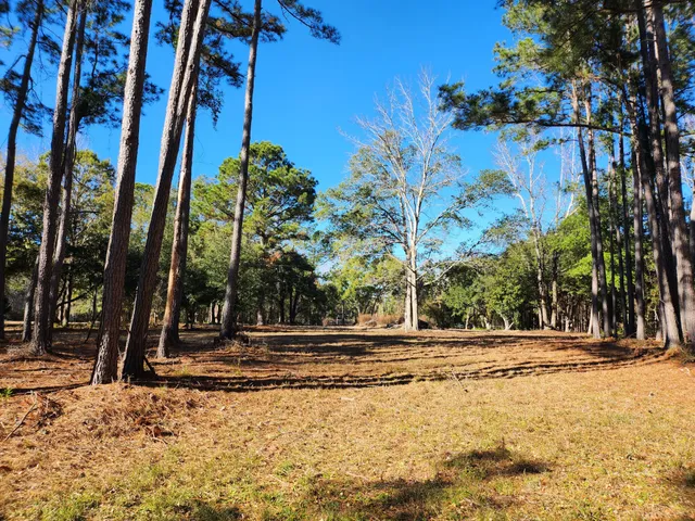 $435,000 | 7997 Doar Road, Unit C2, Awendaw, SC 29429