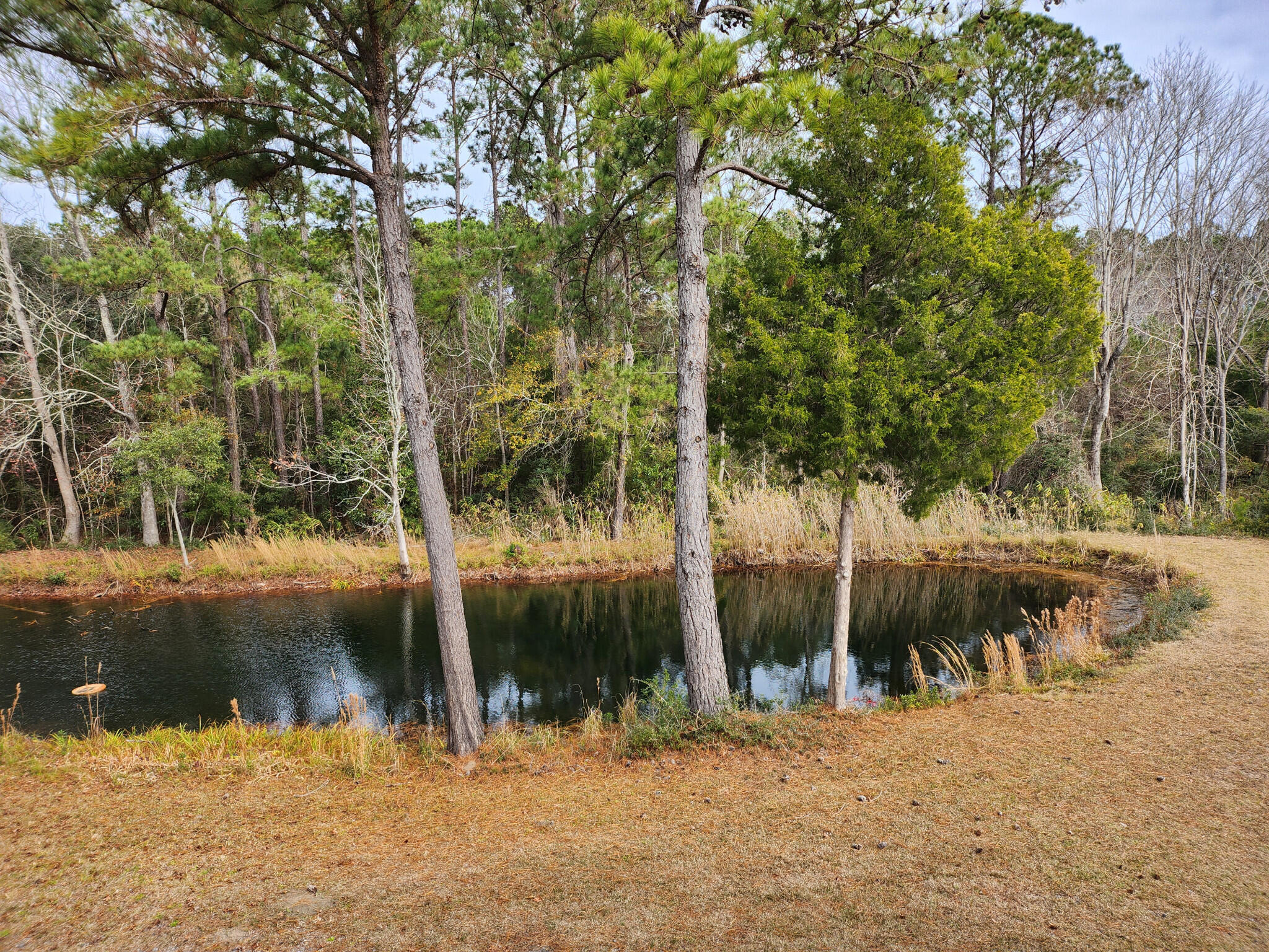 7997 Doar Road, Unit C2 Awendaw, SC 29429 - Photo 3 of 4 3) 54253-67c4e359c8a9d