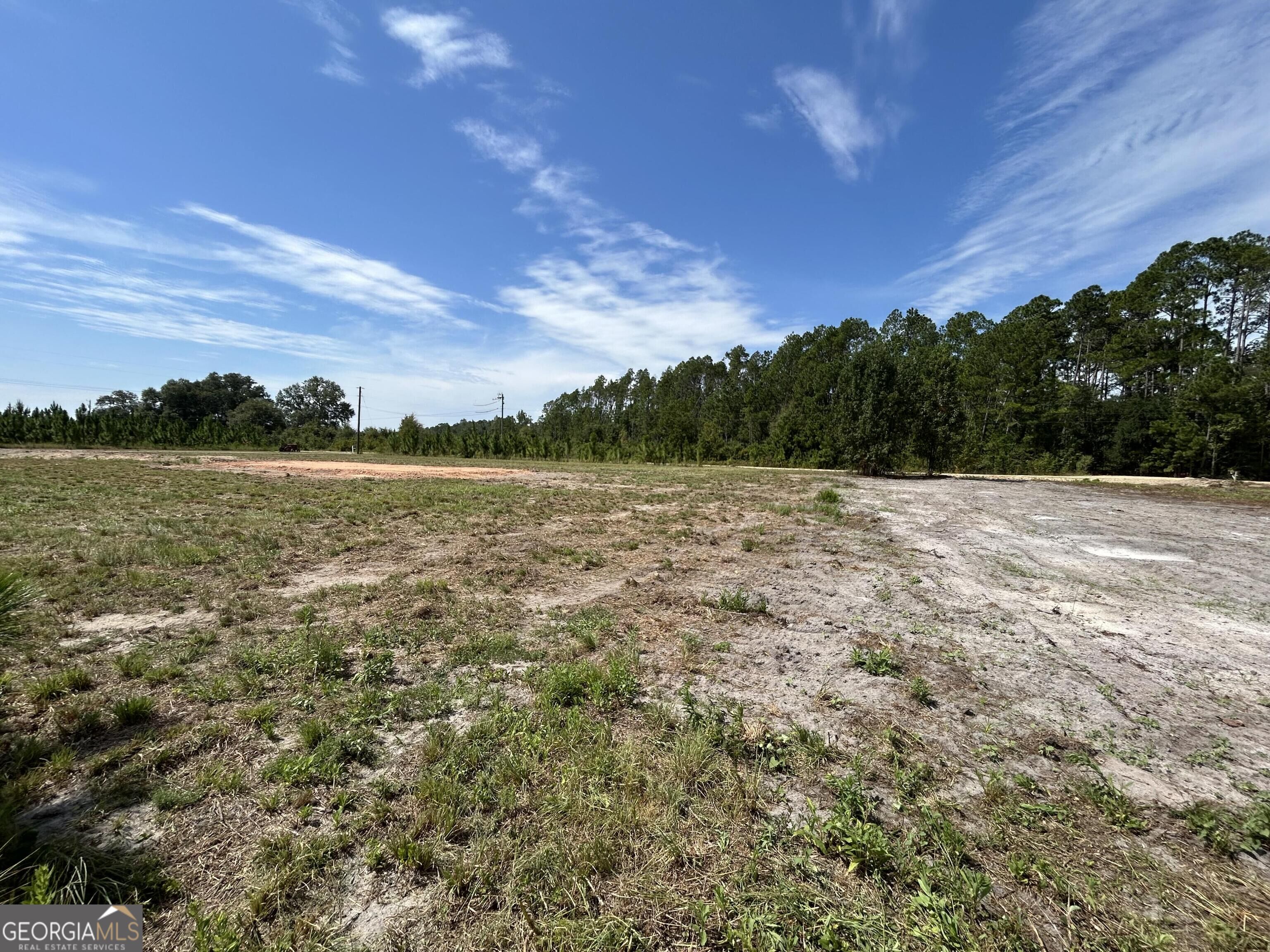 2096 Sellers Road Baxley, GA 31513 - Photo 6 of 21 Gallery Image 6
