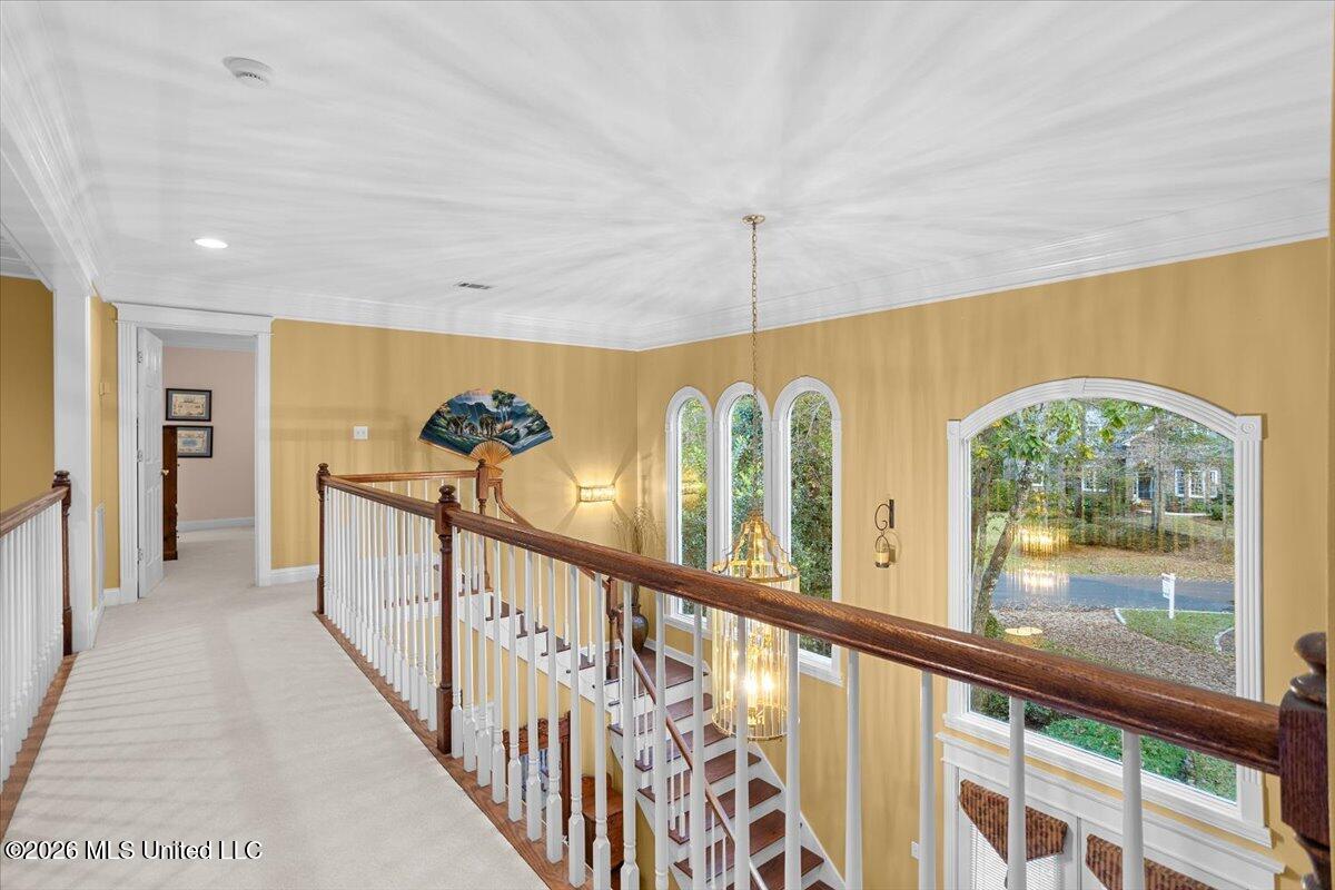 131 Tidewater Road Hattiesburg, MS 39402 - Photo 24 of 36 23-HJ0A8250