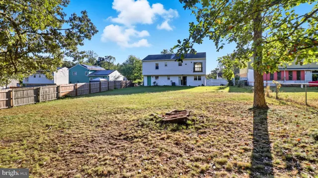 a view of a trees with a yard