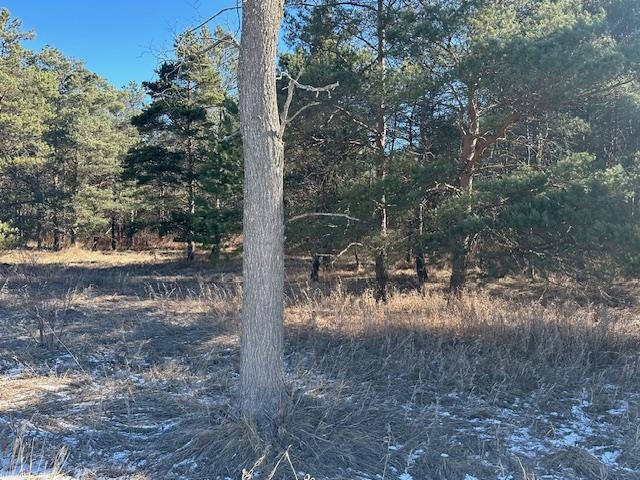 0 North 31 Road Manton, MI 49663 - Photo 4 of 13