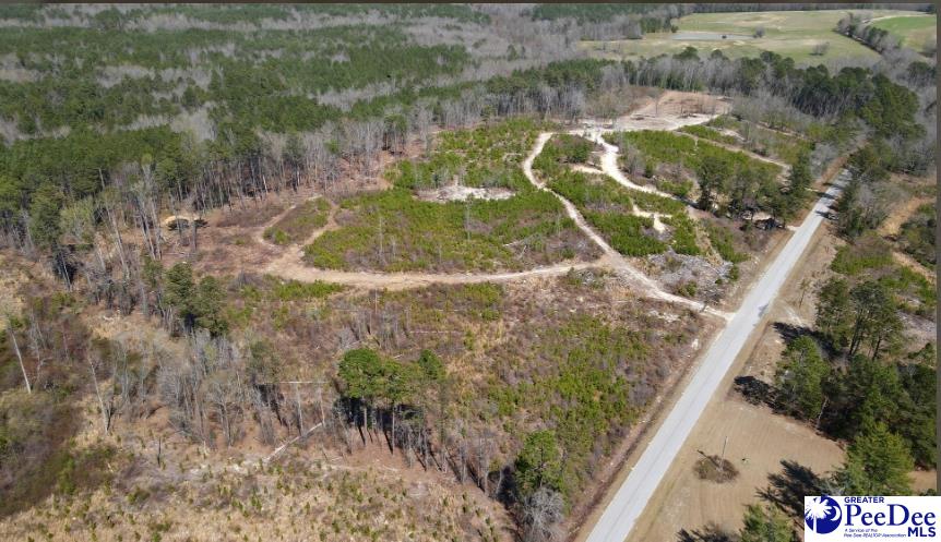 2 Hallelujah Road Ruby, SC 29741 - Photo 2 of 6 Gallery Image 2