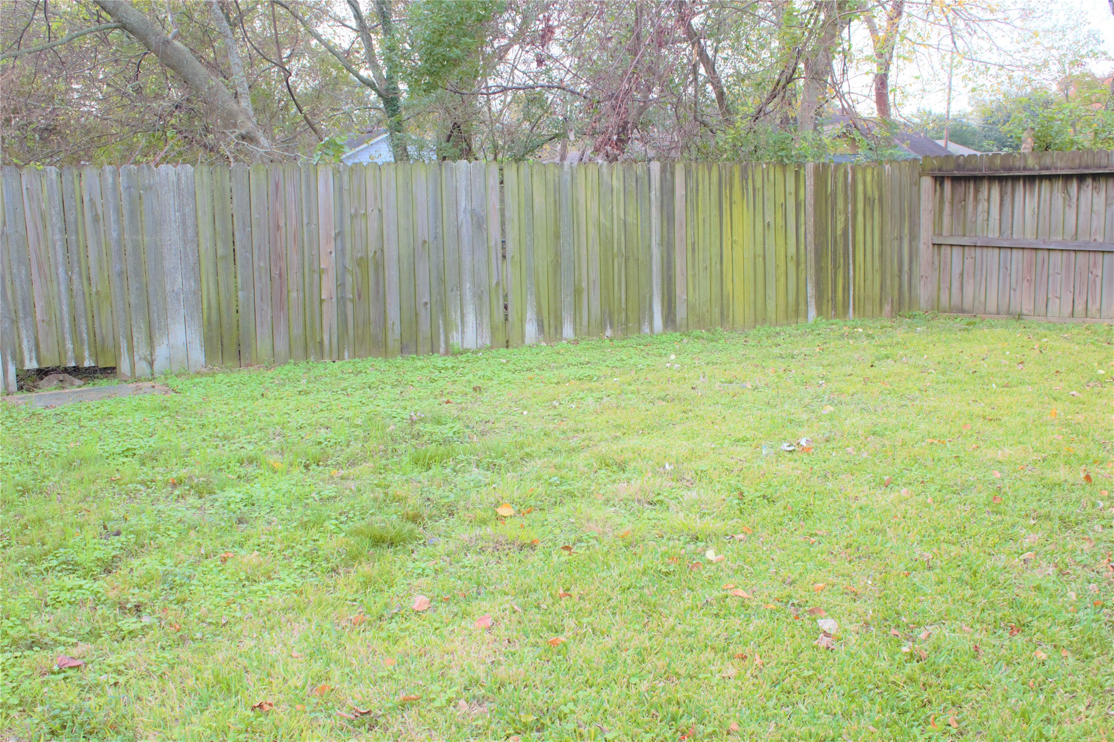 3314 Holman Street Houston, TX 77004 - Photo 7 of 7 a view of backyard with green space