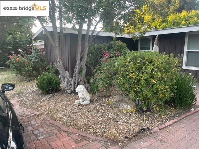 5229 Concord Boulevard Concord, CA 94521 - Photo 2 of 13 a view of a backyard with potted plants and large tree