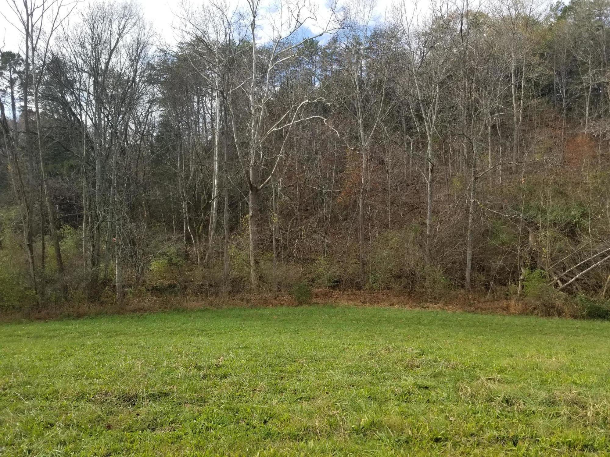 Armory Road Newport, TN 37821 - Photo 2 of 3 20201122_120929