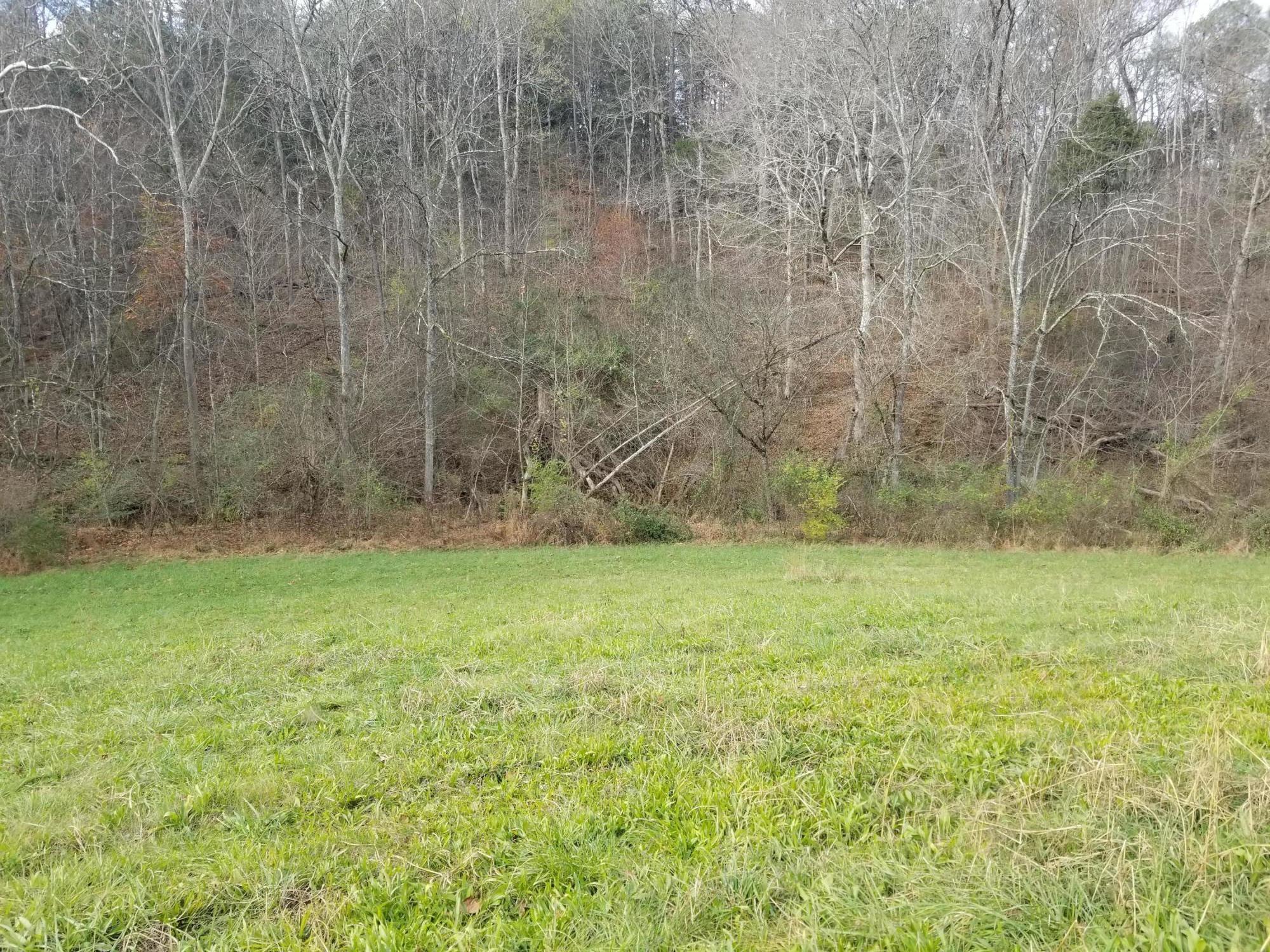 Armory Road Newport, TN 37821 - Photo 3 of 3 20201122_120938