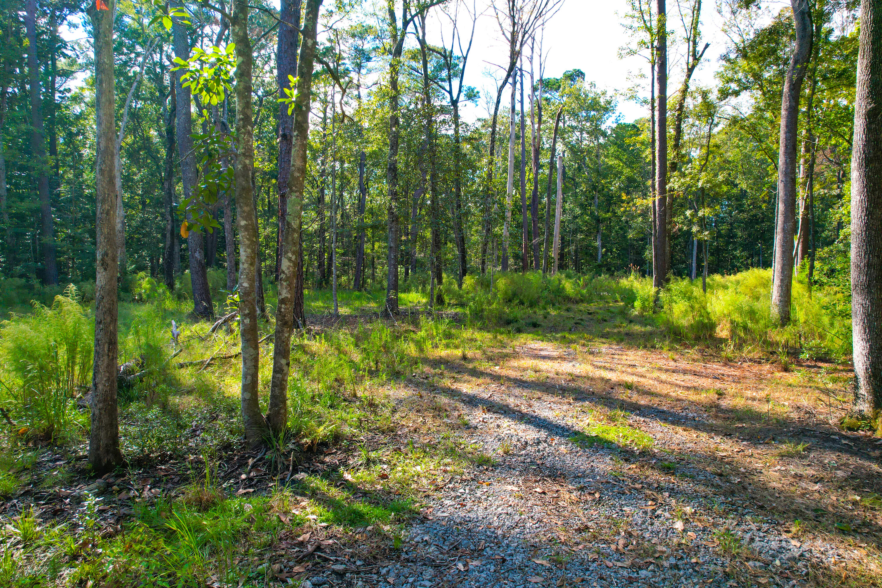 4759 Summit Plantation Road Hollywood, SC 29449 - Photo 2 of 5 4759 Summit Plantation (3)