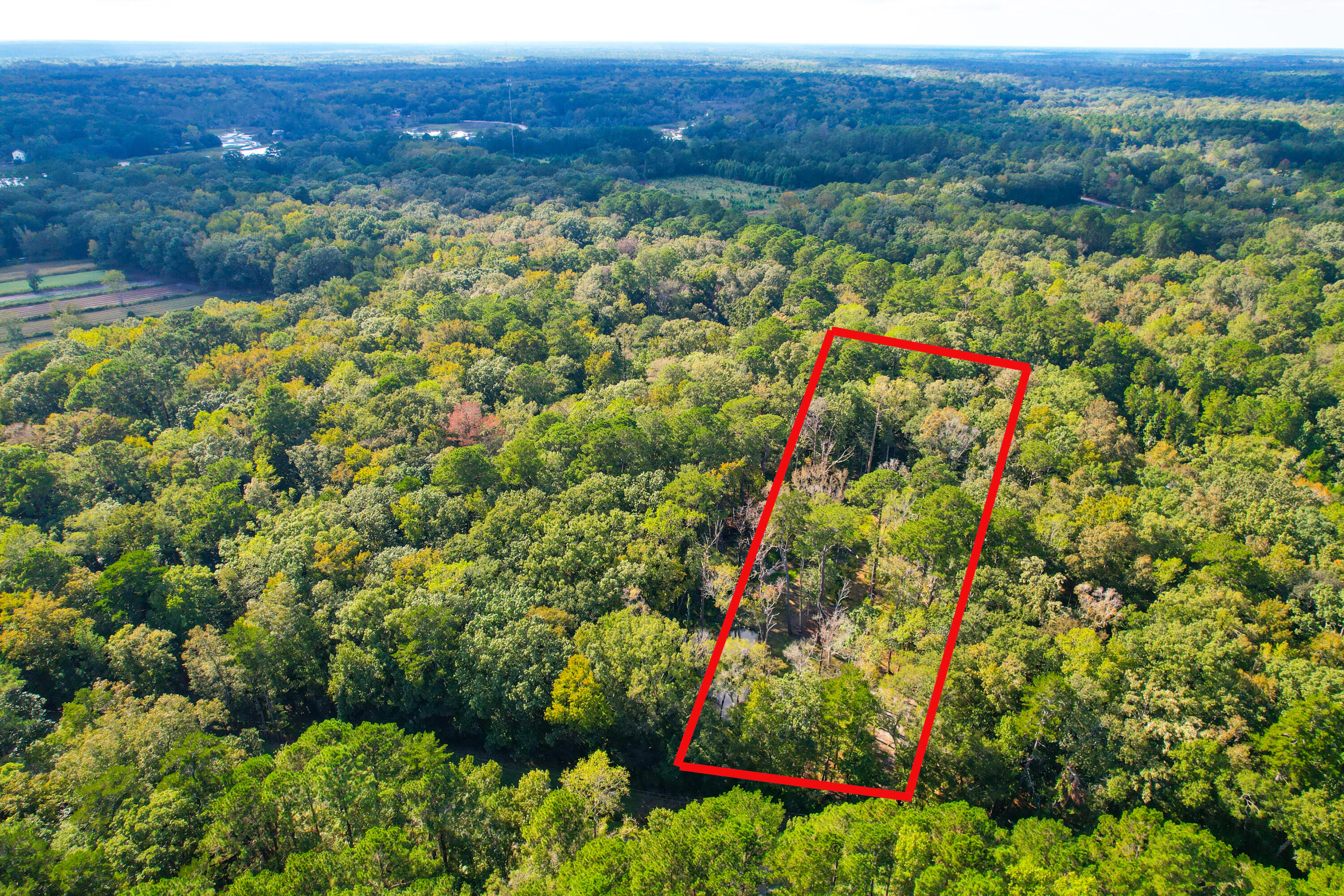 4759 Summit Plantation Road Hollywood, SC 29449 - Photo 4 of 5 4759 Summit Plantation (23)