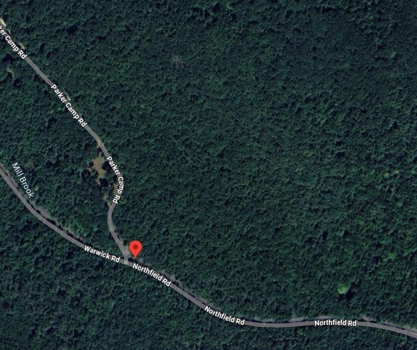 0 Northfield Road Warwick, MA 01378 - Photo 3 of 4 a picture of a tree in a yard