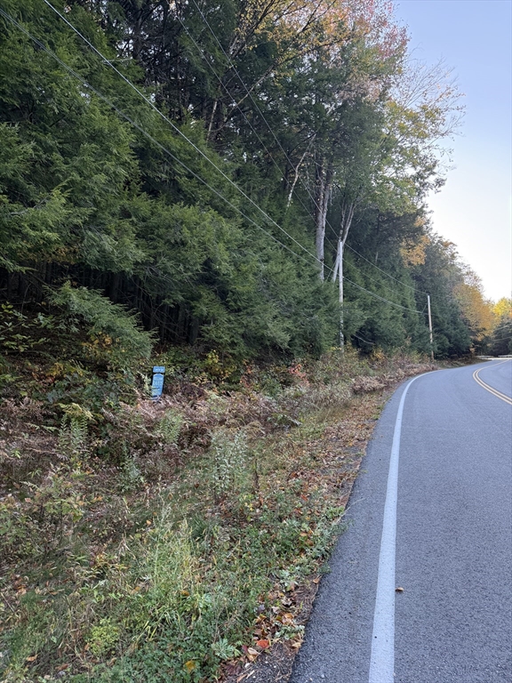 0 Northfield Road Warwick, MA 01378 - Photo 4 of 4 a view of a forest filled with trees